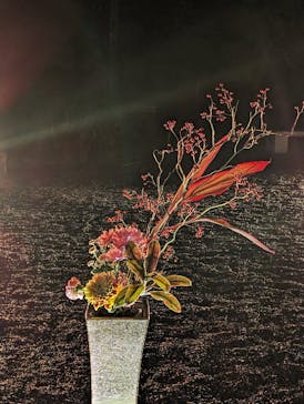 NAKED meets 二条城 2025 観月に投稿された画像（2023/11/25）