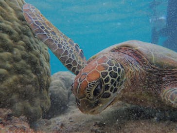 元気玉に投稿された画像（2023/11/25）