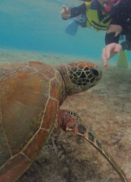 元気玉に投稿された画像（2023/11/25）