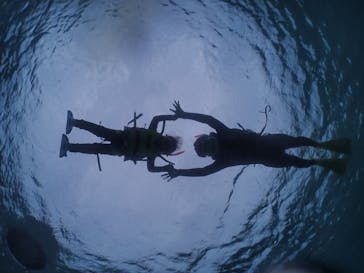 元気玉に投稿された画像（2023/11/25）