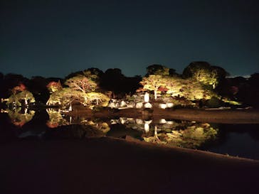 六義園に投稿された画像（2023/11/25）