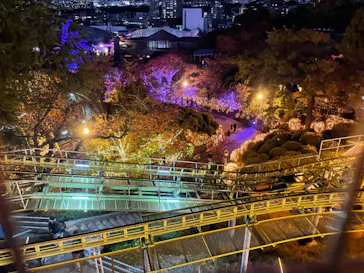 ひらかたパークに投稿された画像（2023/11/25）