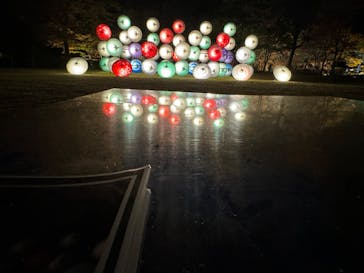 国営昭和記念公園 秋の夜散歩に投稿された画像（2023/11/25）