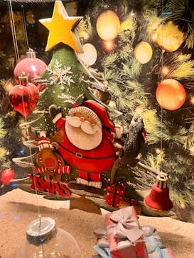 NARA IKIMONO MUSEUMに投稿された画像（2023/11/25）