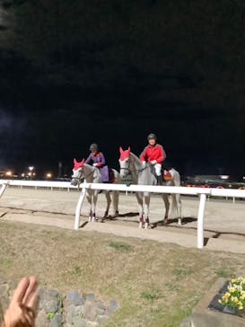 東京メガイルミに投稿された画像（2023/11/25）