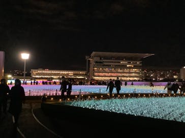 東京メガイルミに投稿された画像（2023/11/25）