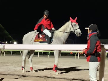 東京メガイルミに投稿された画像（2023/11/25）