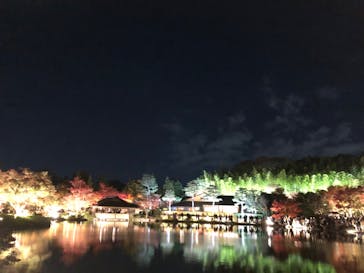 国営昭和記念公園 秋の夜散歩に投稿された画像（2023/11/25）