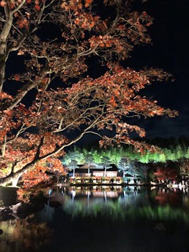 国営昭和記念公園 秋の夜散歩に投稿された画像（2023/11/25）