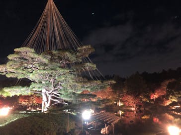 国営昭和記念公園 秋の夜散歩に投稿された画像（2023/11/25）