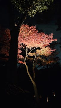 江戸東京たてもの園に投稿された画像（2023/11/25）