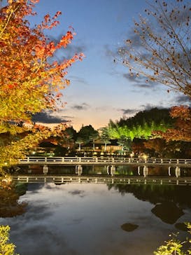国営昭和記念公園 秋の夜散歩に投稿された画像（2023/11/25）