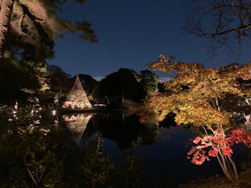 六義園に投稿された画像（2023/11/25）