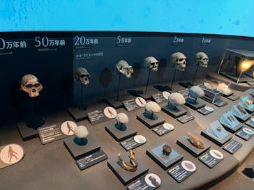 国立科学博物館に投稿された画像（2023/11/25）