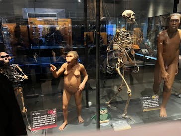 国立科学博物館に投稿された画像（2023/11/25）