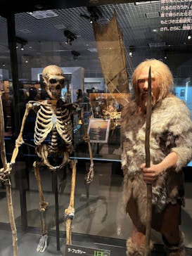 国立科学博物館に投稿された画像（2023/11/25）