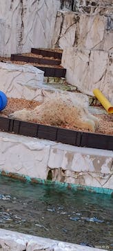 名古屋市東山動植物園に投稿された画像（2023/11/25）