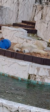 名古屋市東山動植物園に投稿された画像（2023/11/25）