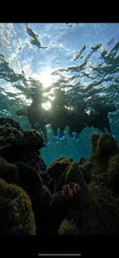 宮古島 ADVENTURE PiPi（ミヤコジマ アドベンチャー ピピ）に投稿された画像（2023/11/25）