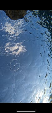 宮古島 ADVENTURE PiPi（ミヤコジマ アドベンチャー ピピ）に投稿された画像（2023/11/25）