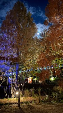 ムーミンバレーパークに投稿された画像（2023/11/25）