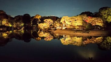 六義園に投稿された画像（2023/11/25）