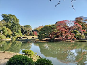 六義園に投稿された画像（2023/11/25）