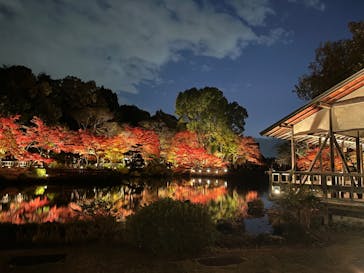 名古屋市東山動植物園に投稿された画像（2023/11/25）