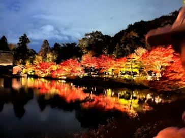 名古屋市東山動植物園に投稿された画像（2023/11/25）