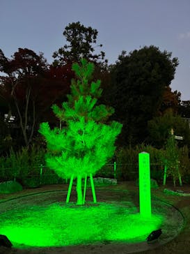 名古屋市東山動植物園に投稿された画像（2023/11/25）