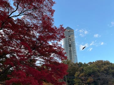 名古屋市東山動植物園に投稿された画像（2023/11/25）
