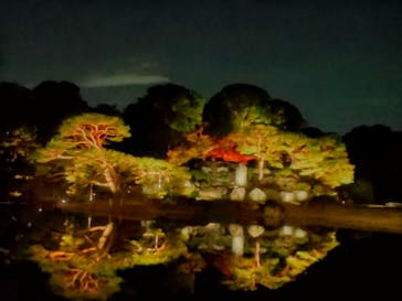 六義園に投稿された画像（2023/11/25）