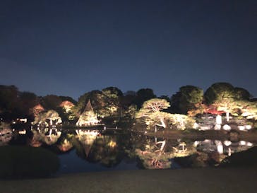 六義園に投稿された画像（2023/11/25）