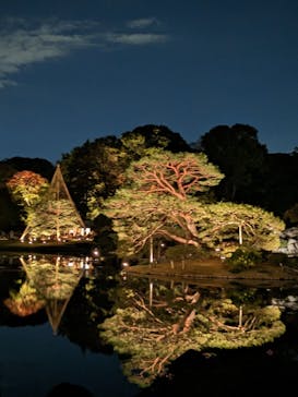 六義園に投稿された画像（2023/11/25）