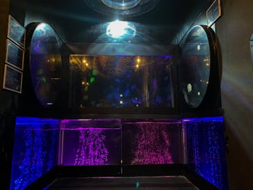 越前松島水族館に投稿された画像（2023/11/24）