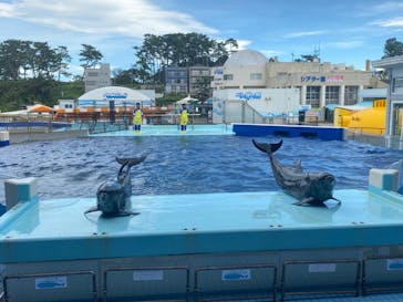 越前松島水族館に投稿された画像（2023/11/24）