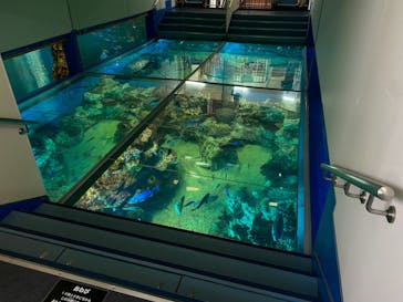 越前松島水族館に投稿された画像（2023/11/24）