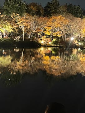 国営昭和記念公園 秋の夜散歩に投稿された画像（2023/11/25）