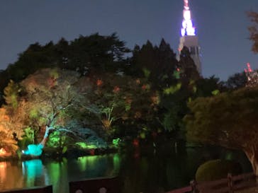 NAKED 紅葉の新宿御苑2023に投稿された画像（2023/11/25）