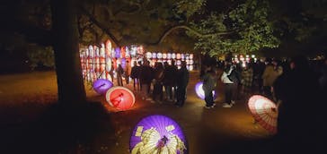 国営昭和記念公園 秋の夜散歩に投稿された画像（2023/11/25）