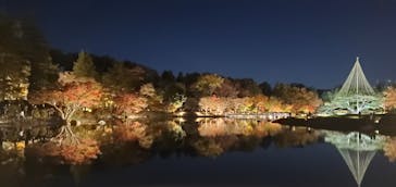 国営昭和記念公園 秋の夜散歩に投稿された画像（2023/11/25）