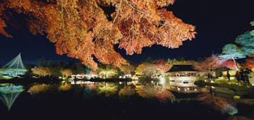 国営昭和記念公園 秋の夜散歩に投稿された画像（2023/11/25）
