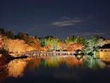 国営昭和記念公園 秋の夜散歩に投稿された画像（2023/11/25）