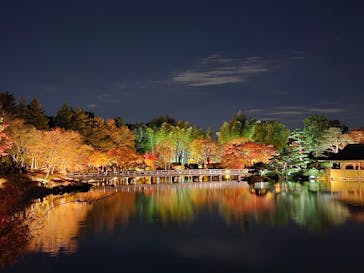 国営昭和記念公園 秋の夜散歩に投稿された画像（2023/11/25）