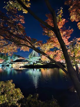 国営昭和記念公園 秋の夜散歩に投稿された画像（2023/11/25）
