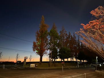 安城産業文化公園デンパークに投稿された画像（2023/11/25）