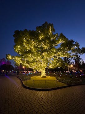 安城産業文化公園デンパークに投稿された画像（2023/11/25）