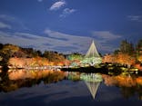 国営昭和記念公園 秋の夜散歩に投稿された画像（2023/11/25）