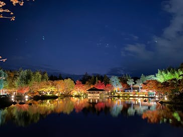 国営昭和記念公園 秋の夜散歩に投稿された画像（2023/11/25）