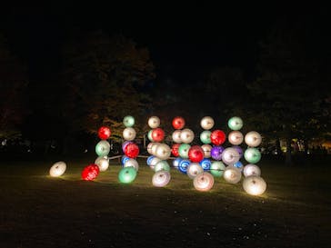 国営昭和記念公園 秋の夜散歩に投稿された画像（2023/11/25）